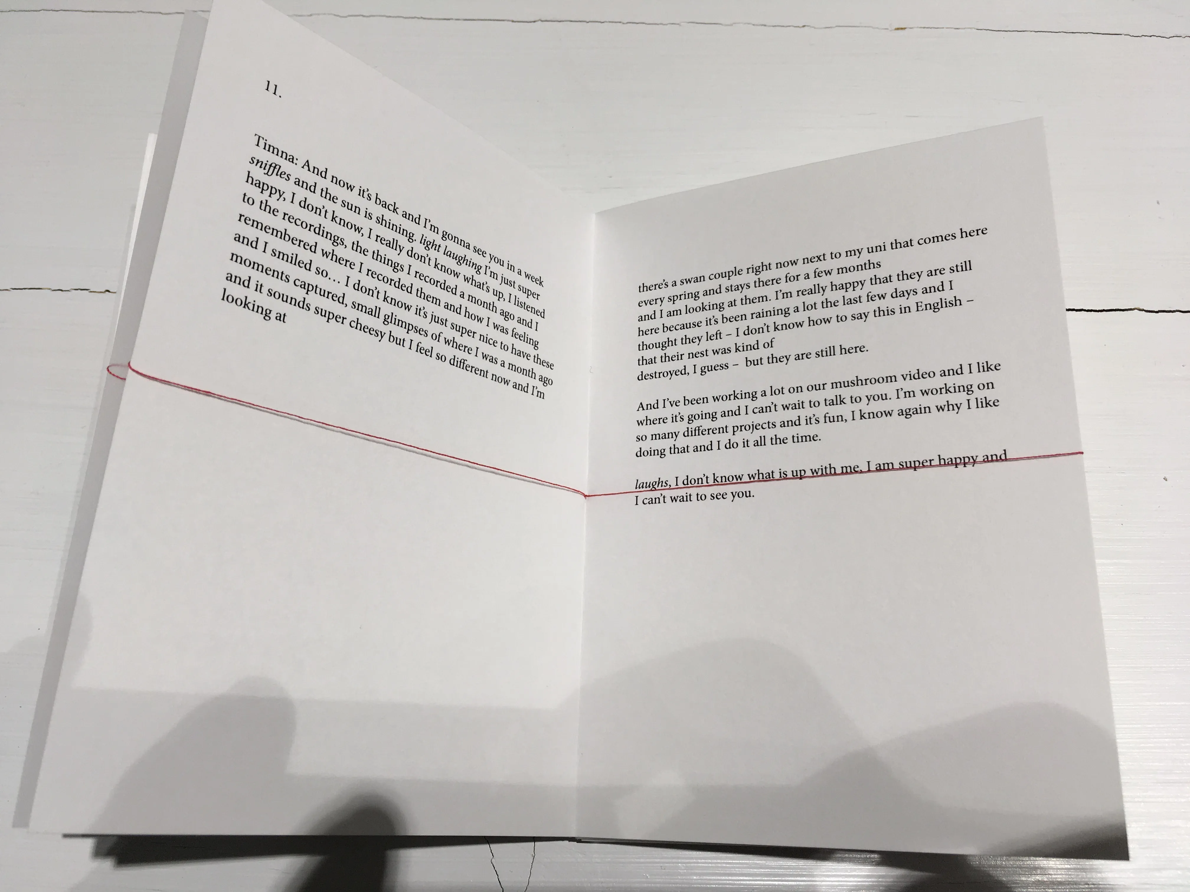 Timna Lugstein and Denitza Zafirova