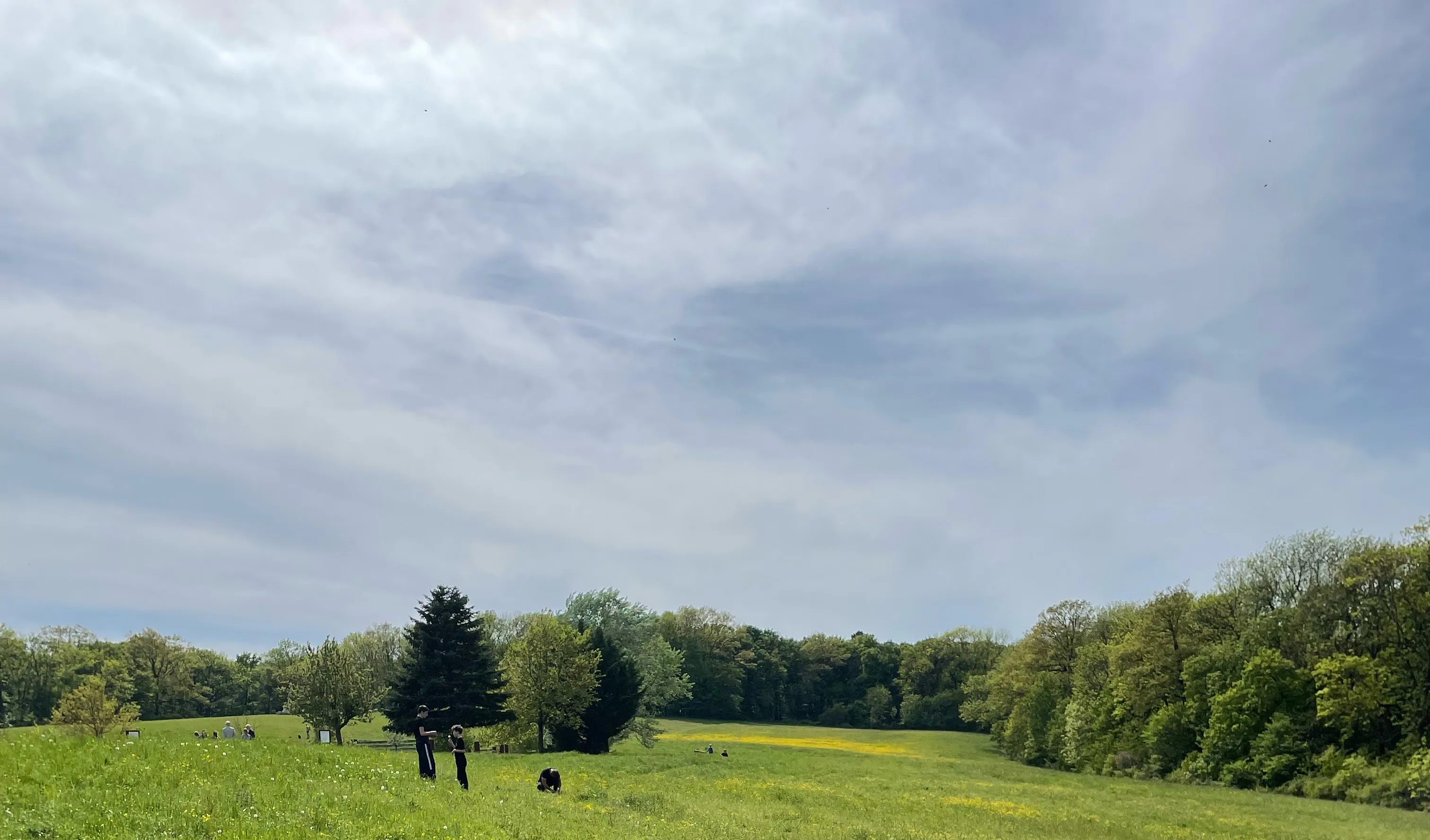 Installation: E.Töltl